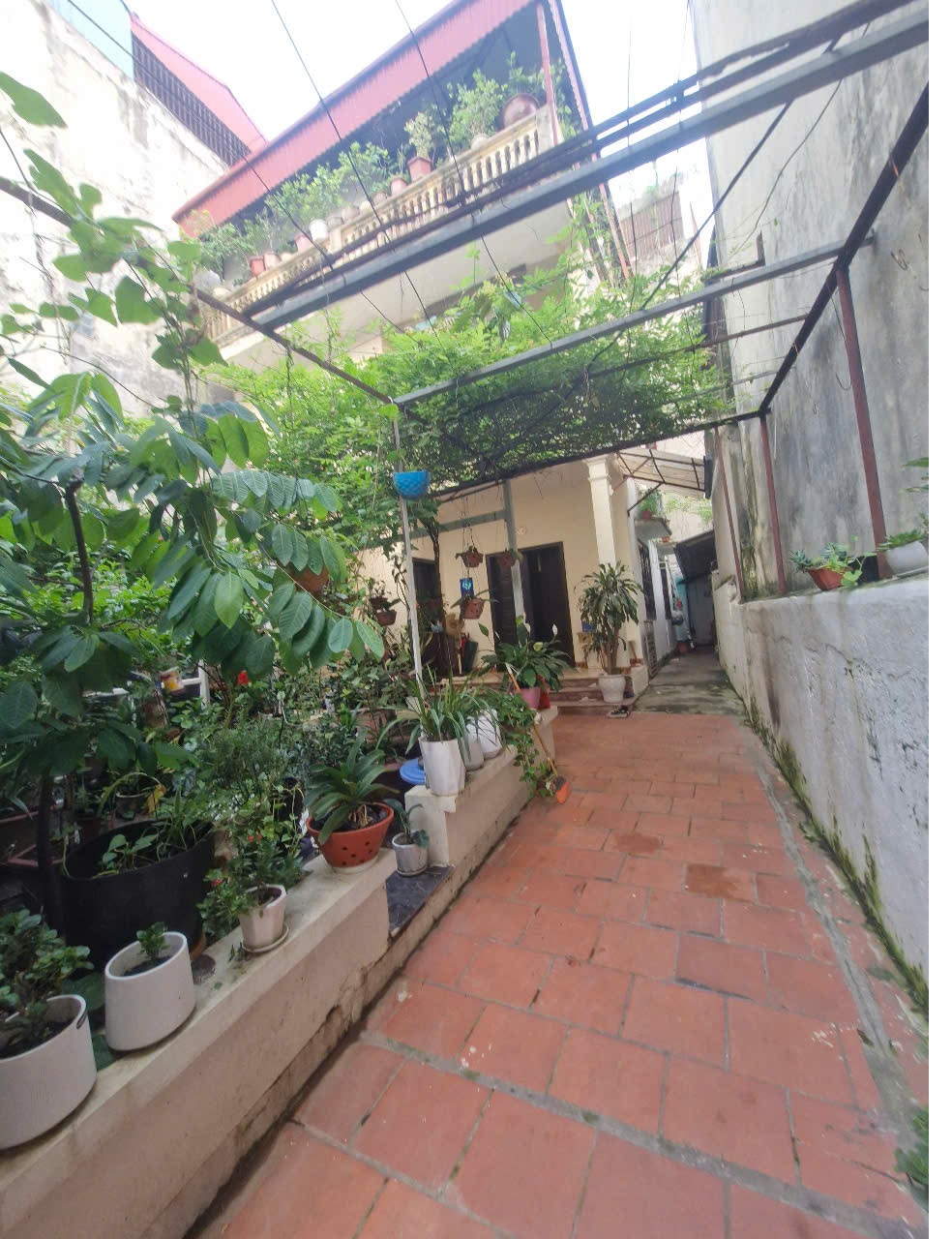 🏡 Bán nhà VŨ TÔNG PHAN, Thanh Xuân – 215m²- xây CCMN, gần phố – 37 TỶ 5 - Ảnh 1